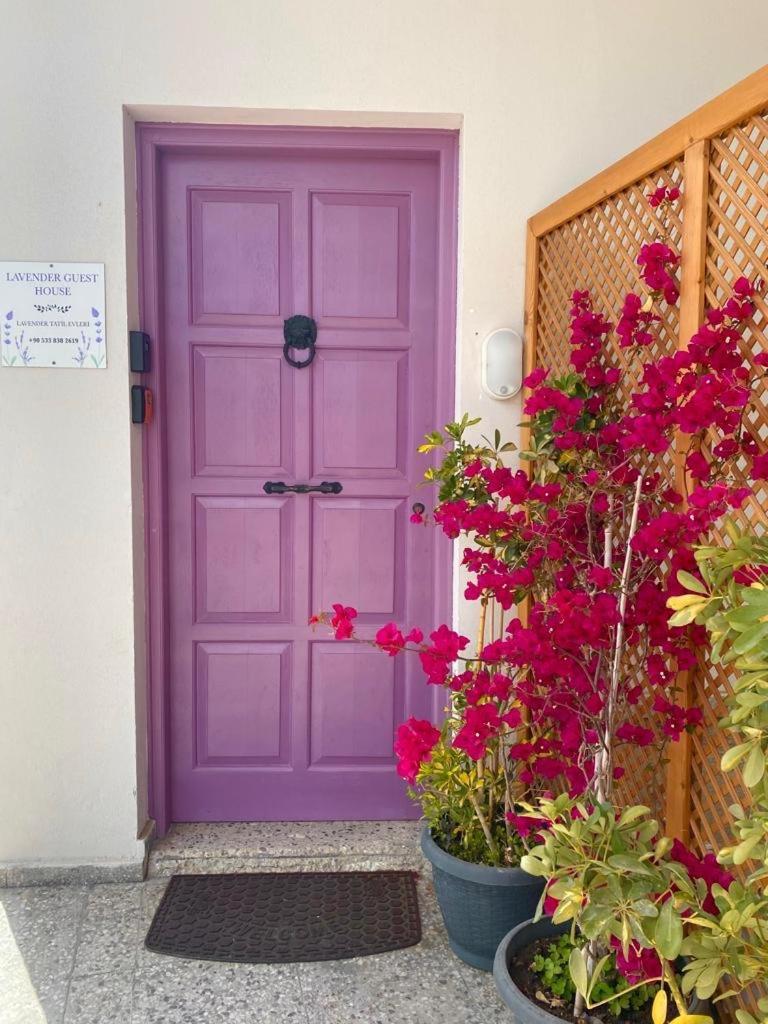 Lavender Homes, Walled City ฟามากุสต้า ภายนอก รูปภาพ